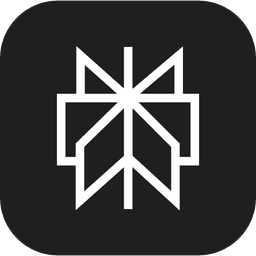 Perplexity Logo